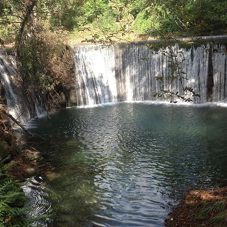 L'Ecrin D'Osely Bed & Breakfast Lodeve Bagian luar foto
