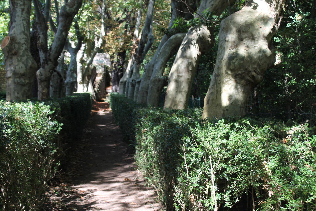 L'Ecrin D'Osely Bed & Breakfast Lodeve Bagian luar foto