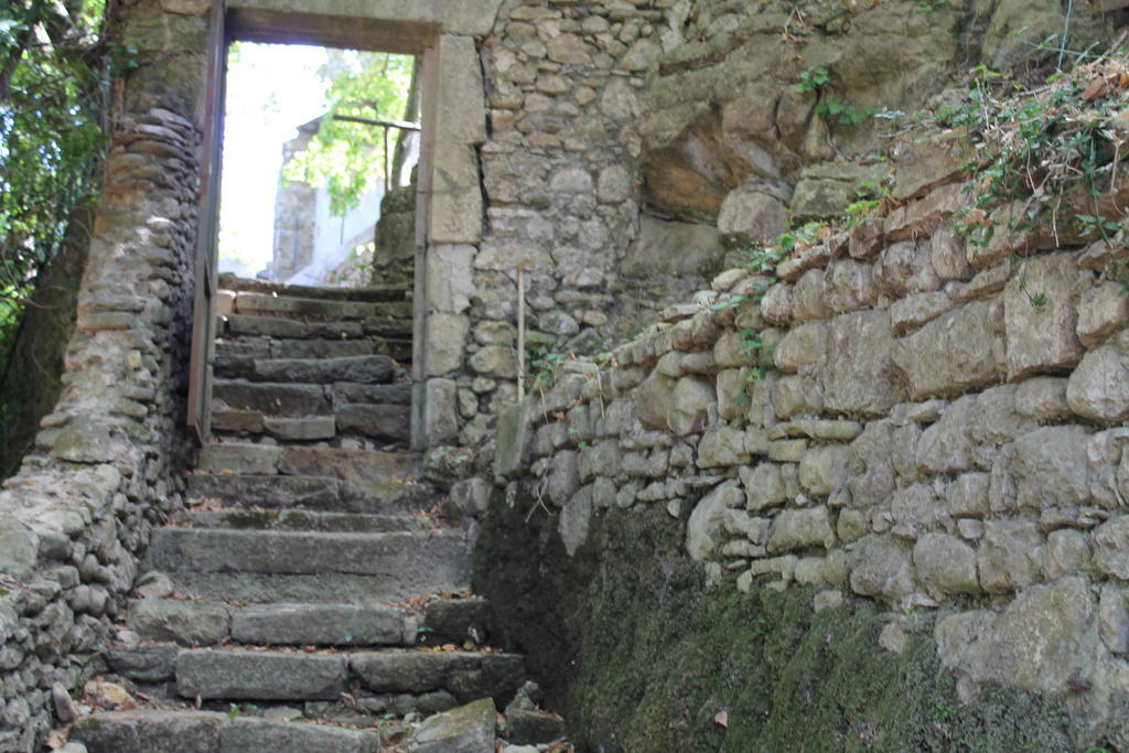 L'Ecrin D'Osely Bed & Breakfast Lodeve Bagian luar foto
