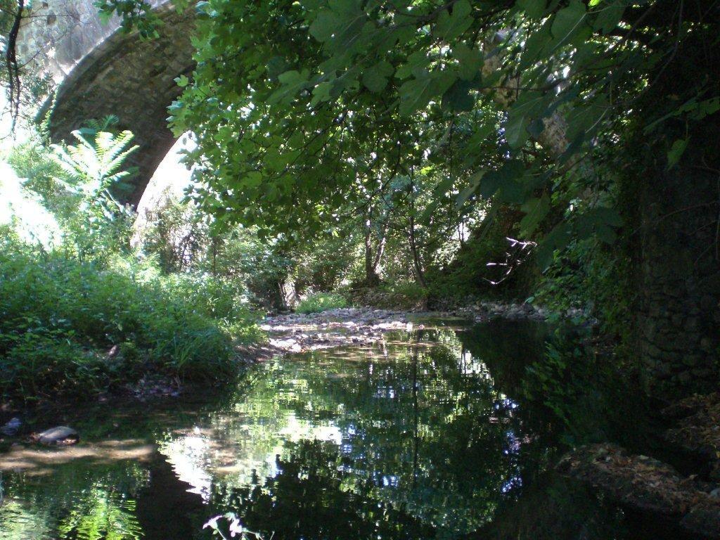 L'Ecrin D'Osely Bed & Breakfast Lodeve Bagian luar foto