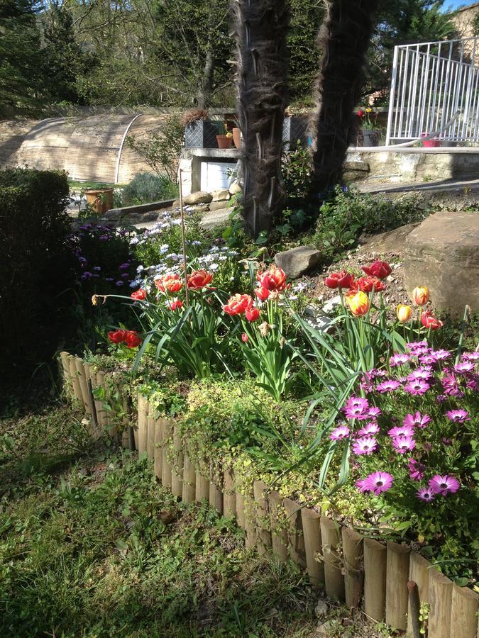 L'Ecrin D'Osely Bed & Breakfast Lodeve Bagian luar foto