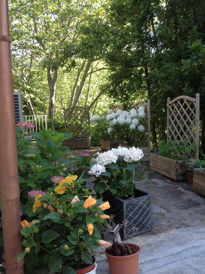 L'Ecrin D'Osely Bed & Breakfast Lodeve Bagian luar foto