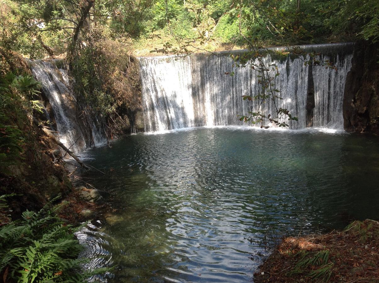 L'Ecrin D'Osely Bed & Breakfast Lodeve Bagian luar foto